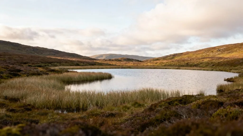 Petit lac de plateau entouré de tourbière et herbes hautes