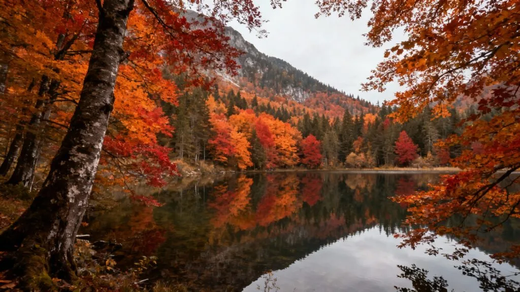 Lac sauvage entouré de forêts aux couleurs d'automne