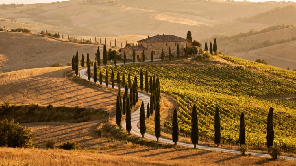 Vignobles italiens d'un des pays les plus visités