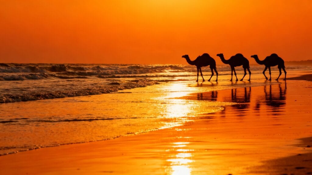 Coucher de soleil atlantique pour un week-end au soleil