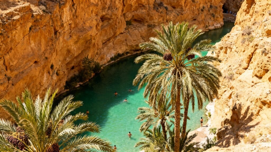 Oasis et bassin émeraude au soleil d’octobre