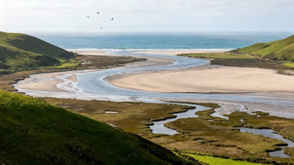 Estuaire et marais de la côte cantabrique