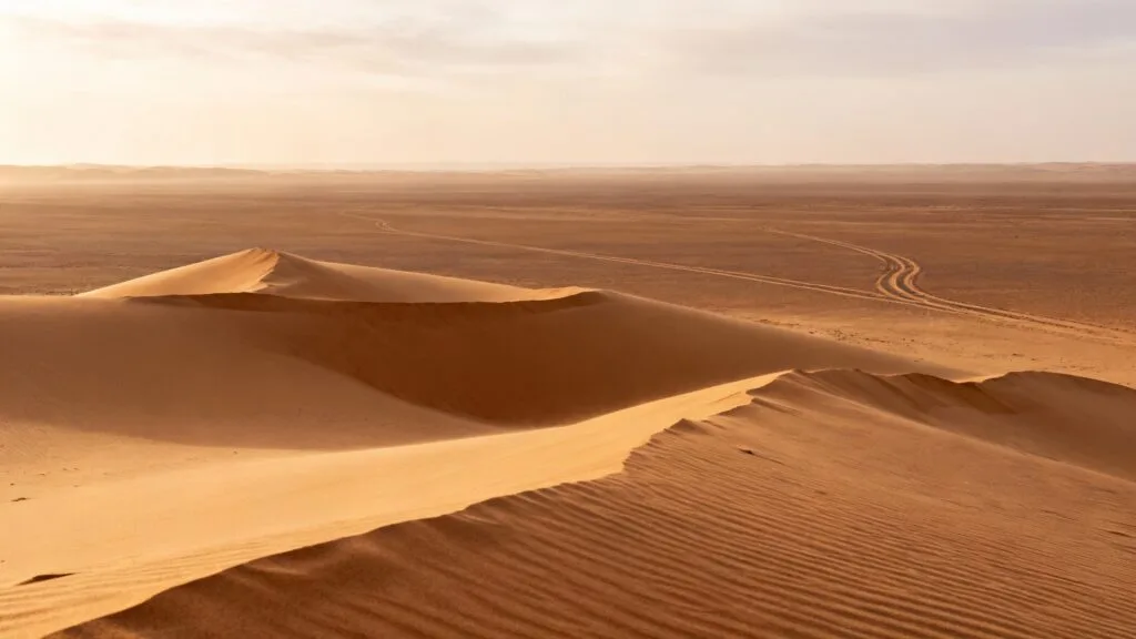 Dunes sauvages et horizon désertique, lumière chaude