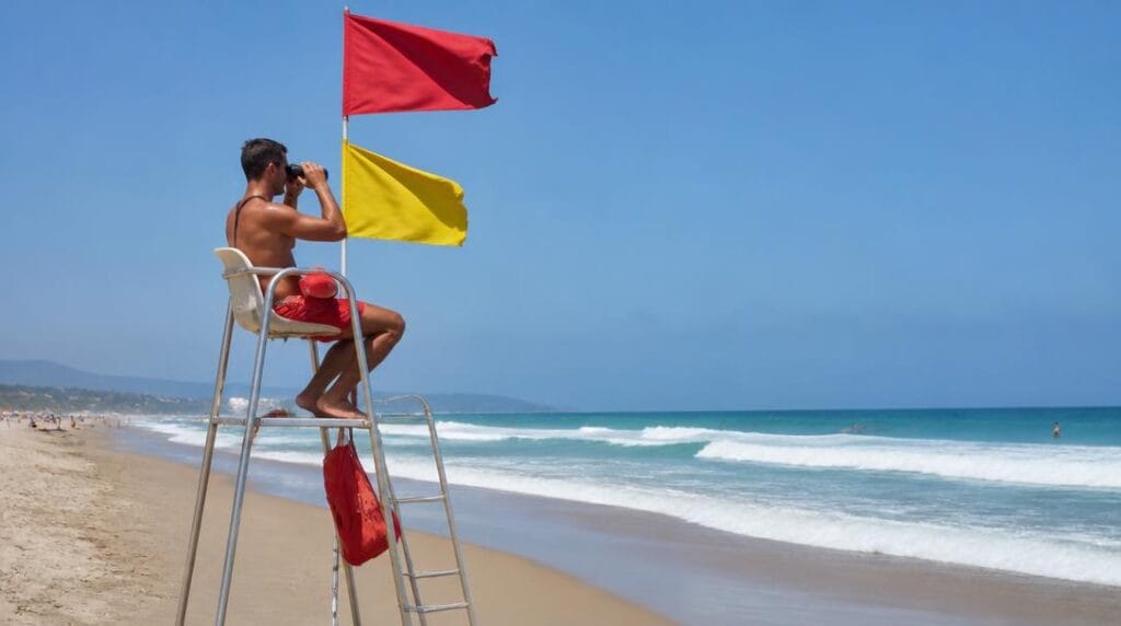 Drapeaux pour baignade surveillée sur une plage océane