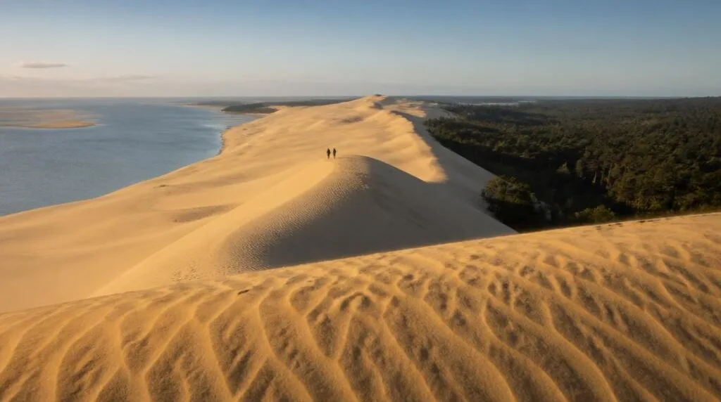 Panorama de dune, forêt de pins et lagune