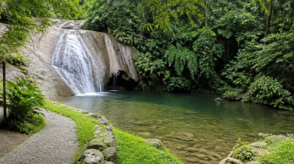 Cascade accessible pour randonnée facile en Guadeloupe
